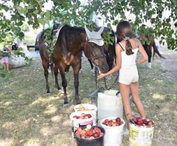 Rozlúčka s letom 2024