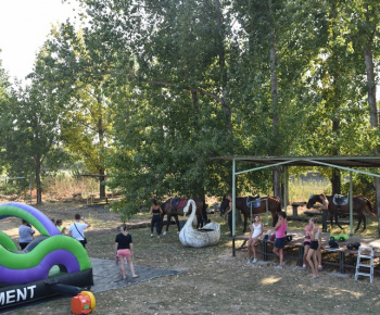 Rozlúčka s letom 2024