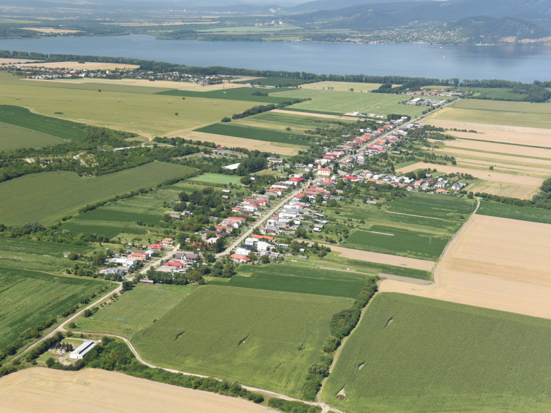 Danube day 2012