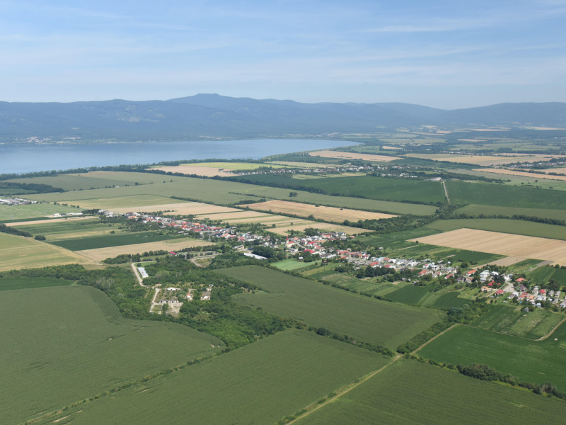 Danube day 2012