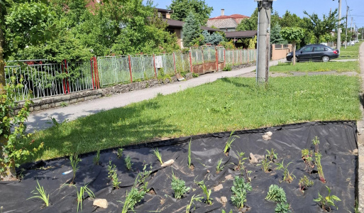 Hažín- dažďové záhony (II.etapa) 