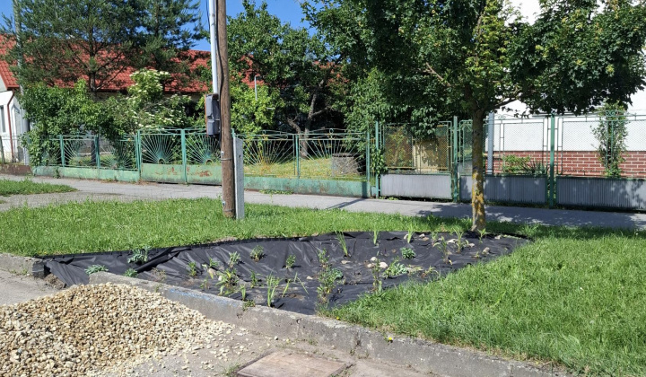 Hažín- dažďové záhony (II.etapa)