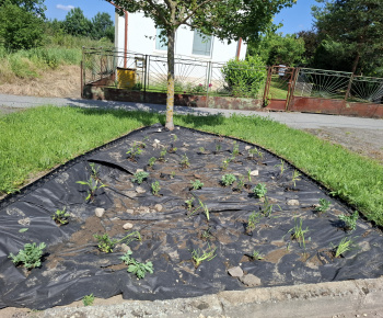 Hažín- dažďové záhony (II.etapa)