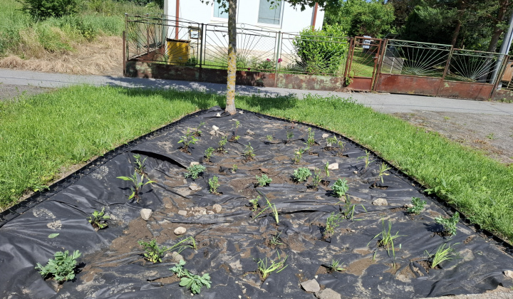 Hažín- dažďové záhony (II.etapa)