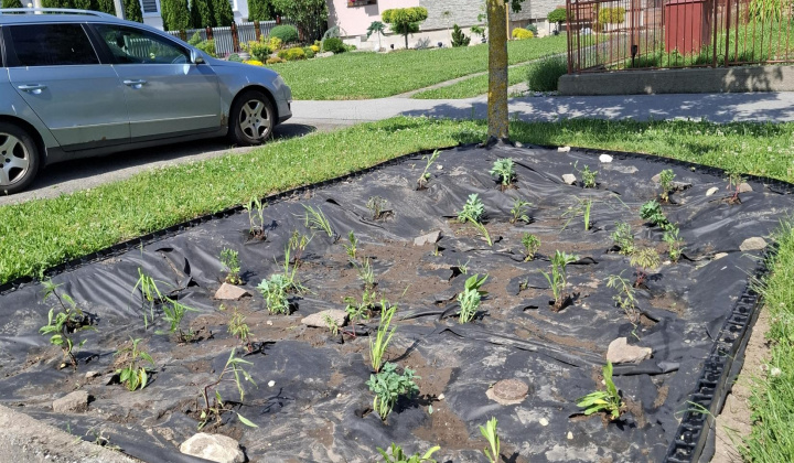 Hažín- dažďové záhony (II.etapa)