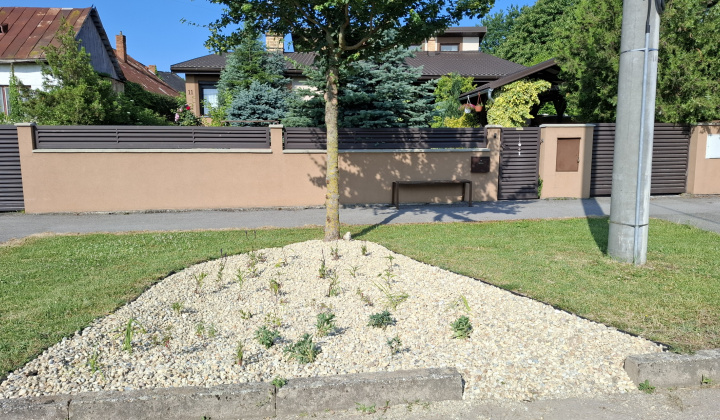 Hažín- dažďové záhony (II.etapa)