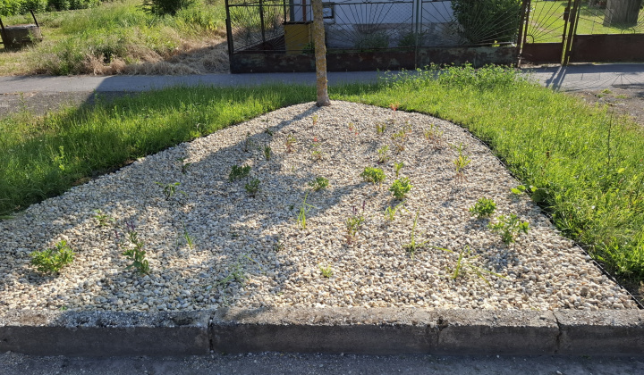 Hažín- dažďové záhony (II.etapa)