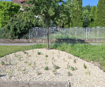 Hažín- dažďové záhony (II.etapa)