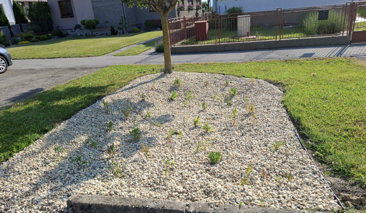 Hažín- dažďové záhony (II.etapa)