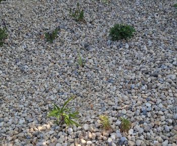 Hažín- dažďové záhony (II.etapa)