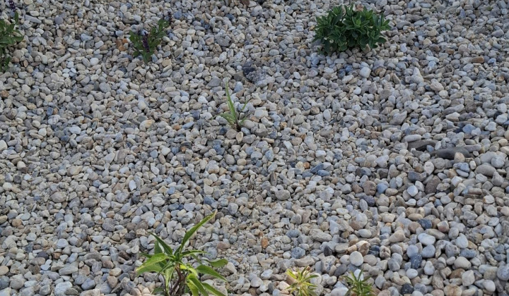 Hažín- dažďové záhony (II.etapa)