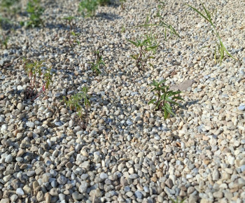 Hažín- dažďové záhony (II.etapa)