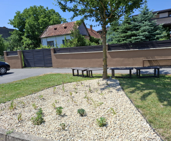 Hažín- dažďové záhony (II.etapa)