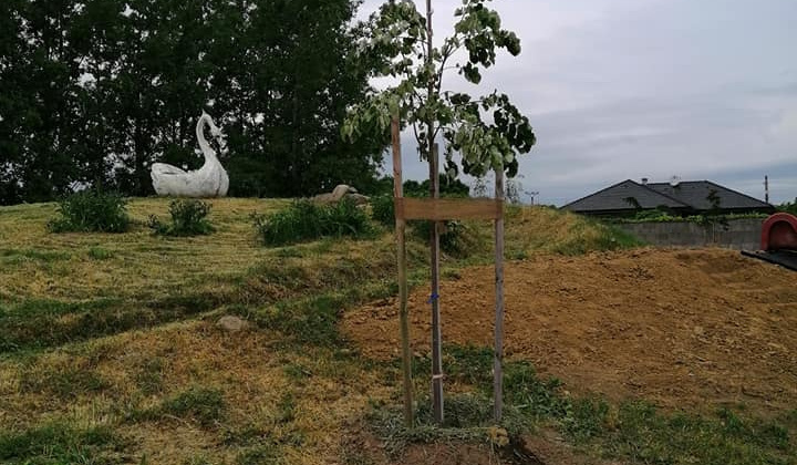 Projekt KSK : Hažín - revitalizácia obce - Komunitná prírodná zá