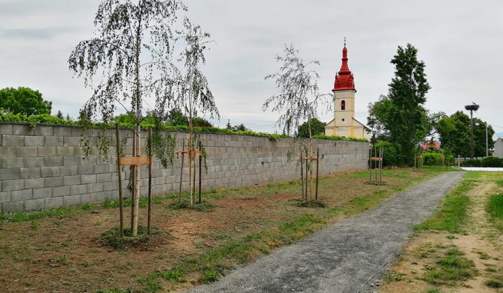 Projekt KSK : Hažín - revitalizácia obce - Komunitná prírodná zá