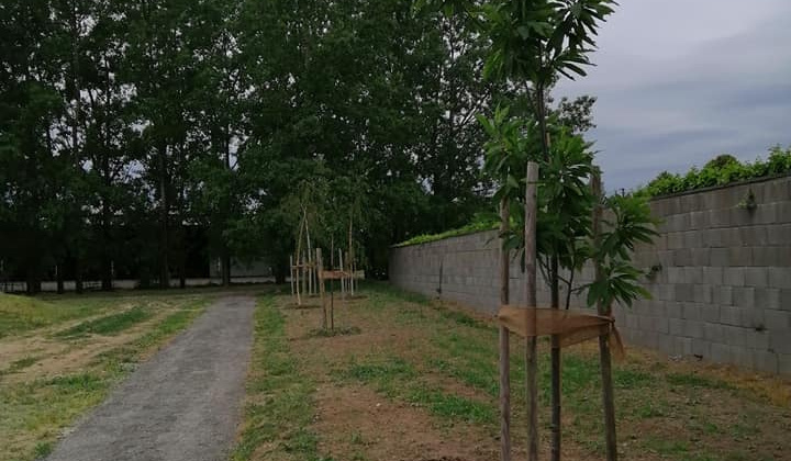Projekt KSK : Hažín - revitalizácia obce - Komunitná prírodná zá