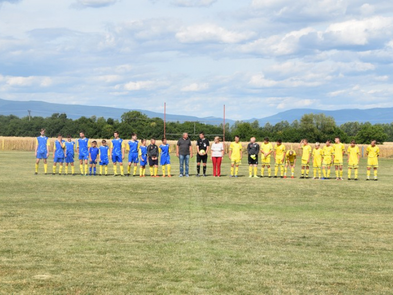 Stavanie mája 2013