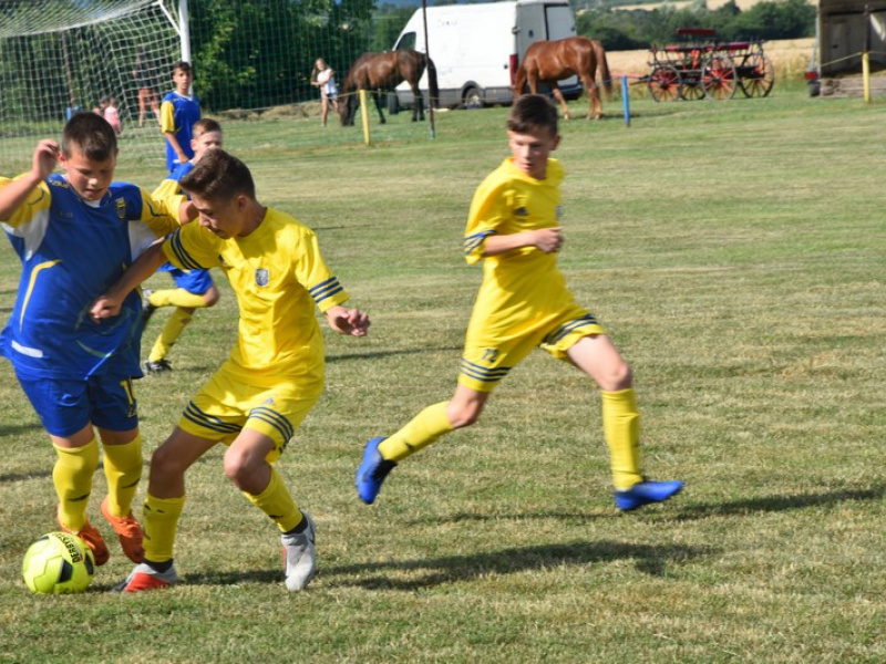 Stavanie mája 2013