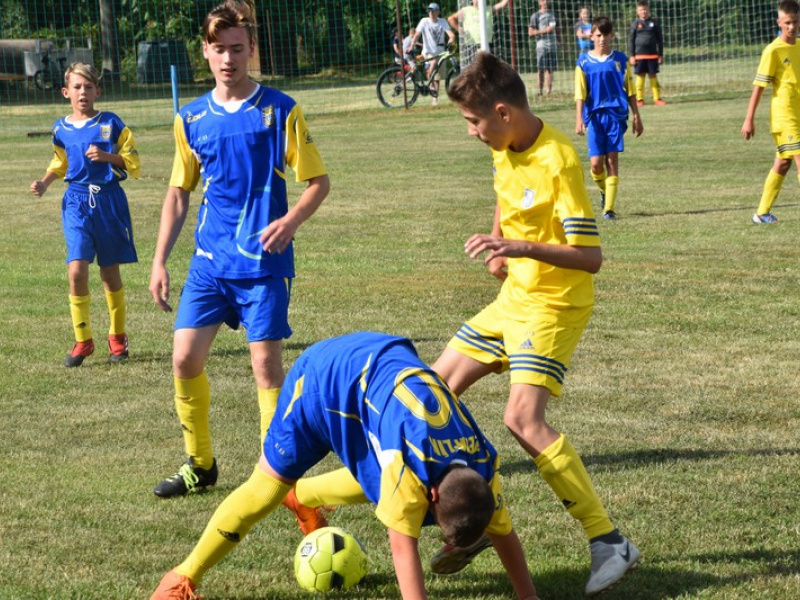 Stavanie mája 2013