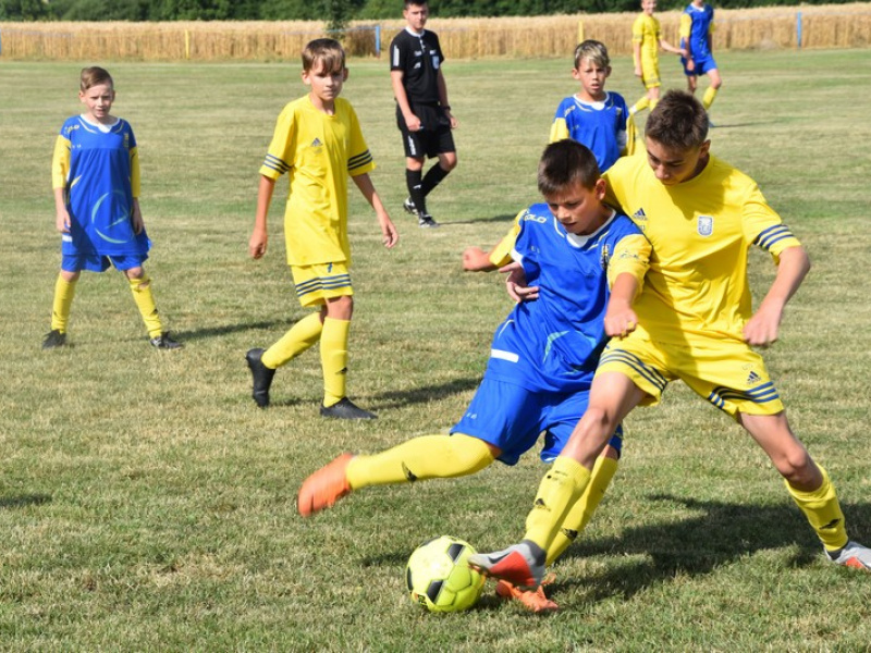 Stavanie mája 2013