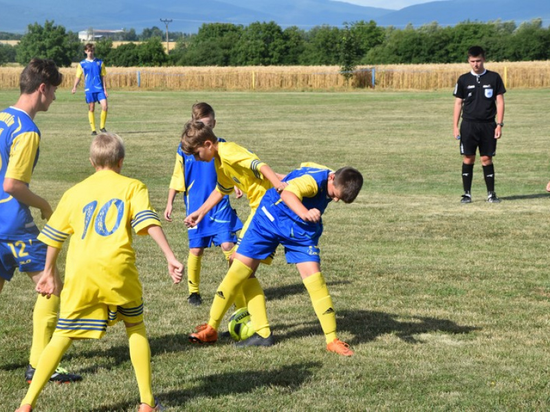 Stavanie mája 2013