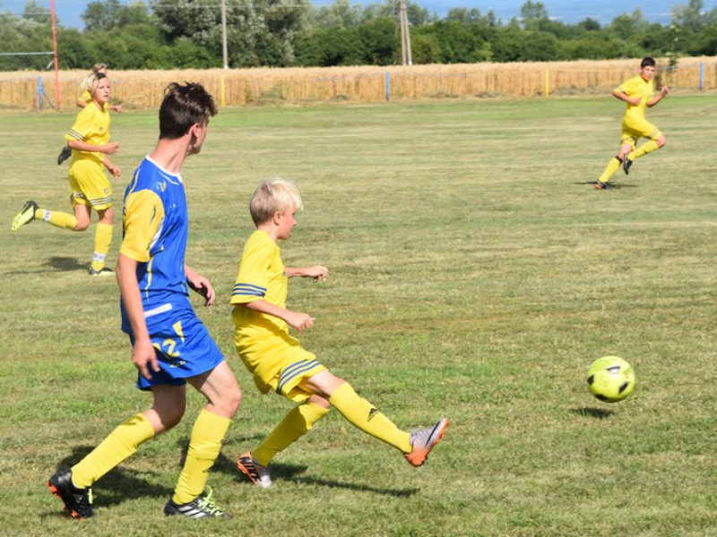 Stavanie mája 2013
