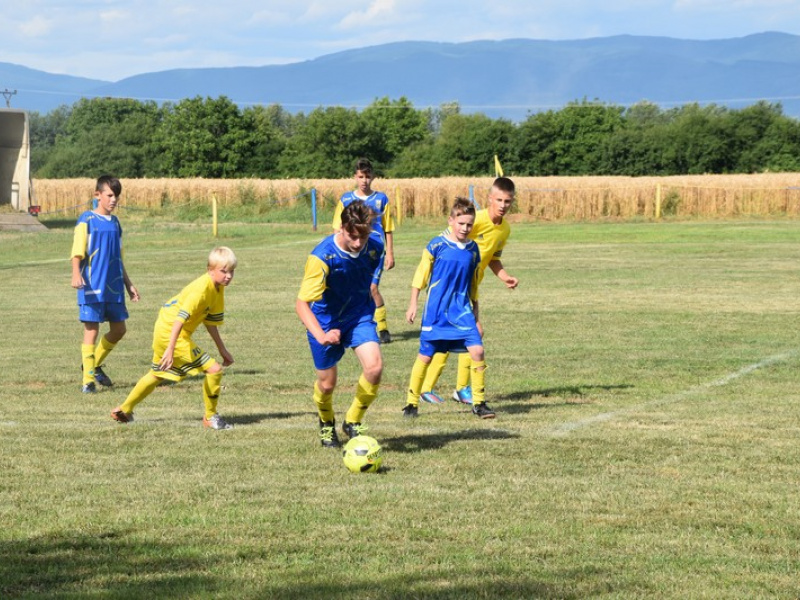 Stavanie mája 2013
