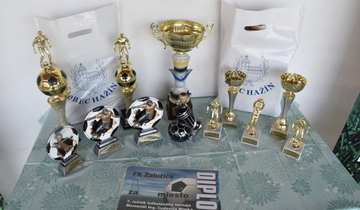 Memorial Ing. Rimka - VII. ročník rok 2019