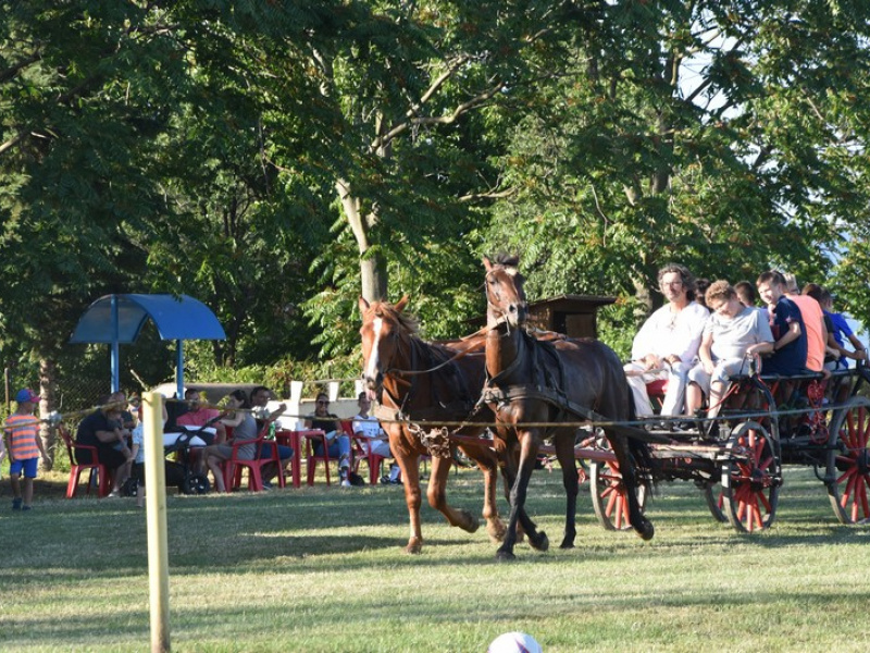 Stavanie mája 2013