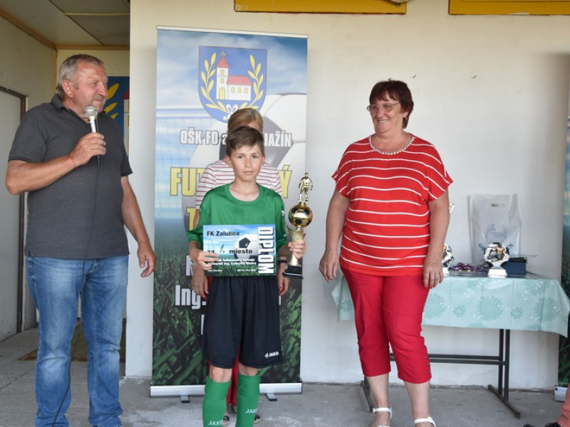 Stavanie mája 2013