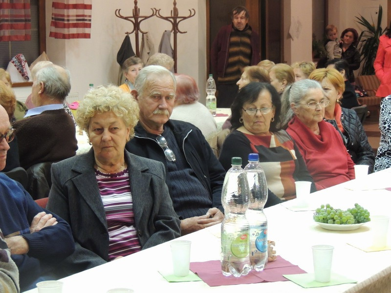 Zlatý erb 2013 