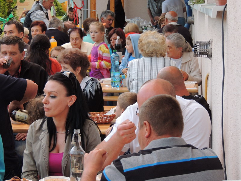 Stavanie mája 2015 