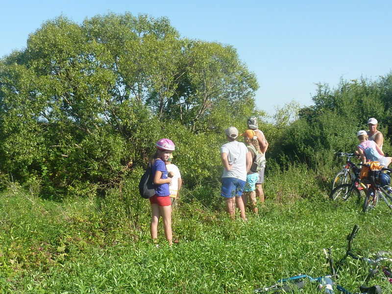 Ohňostroj na nový rok 2018 