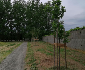 Projekt KSK : Hažín - revitalizácia obce - Komunitná prírodná zá