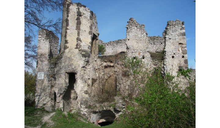 Viniansky hrad