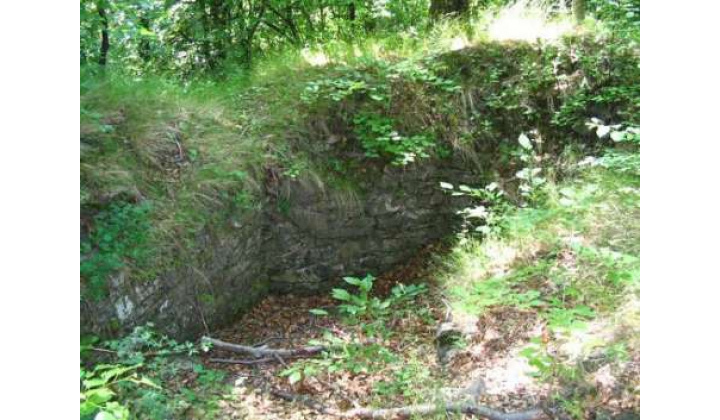 Choňkovce Castle ruins